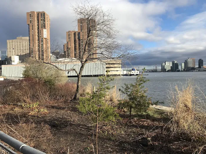 East River Greenway Picture 9