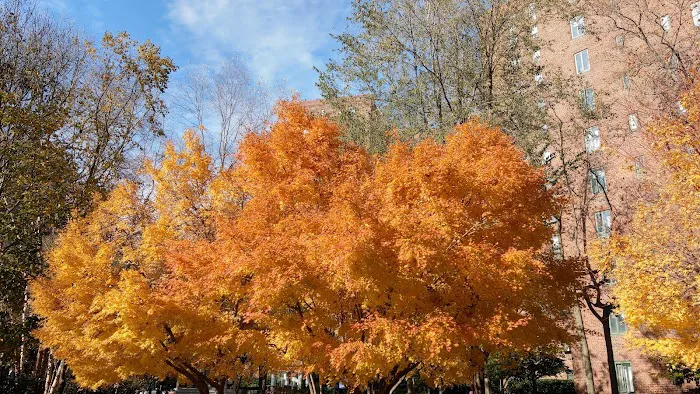 Stuyvesant Town Fountain Picture 10