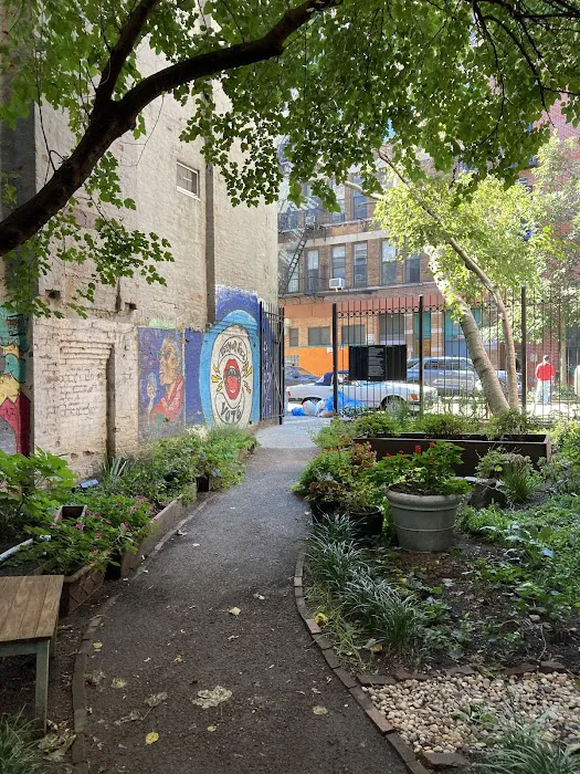 First Street Garden Picture 8