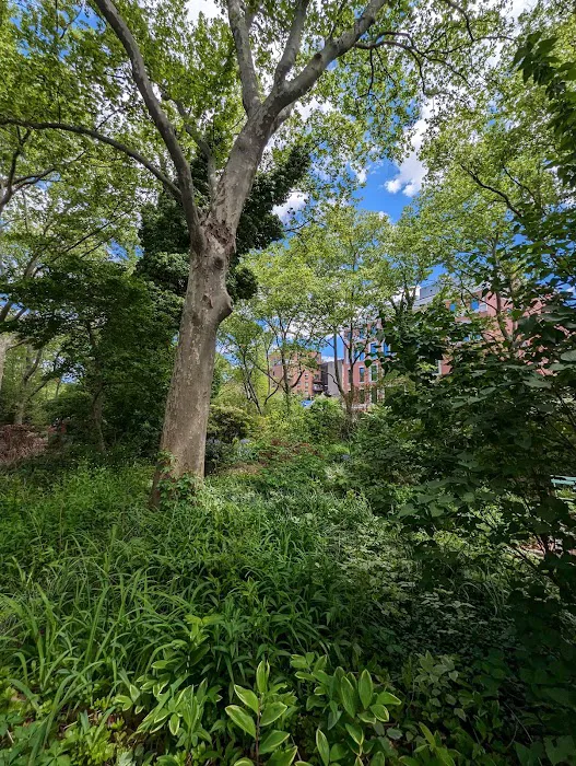 M’Finda Kalunga Garden Picture 1