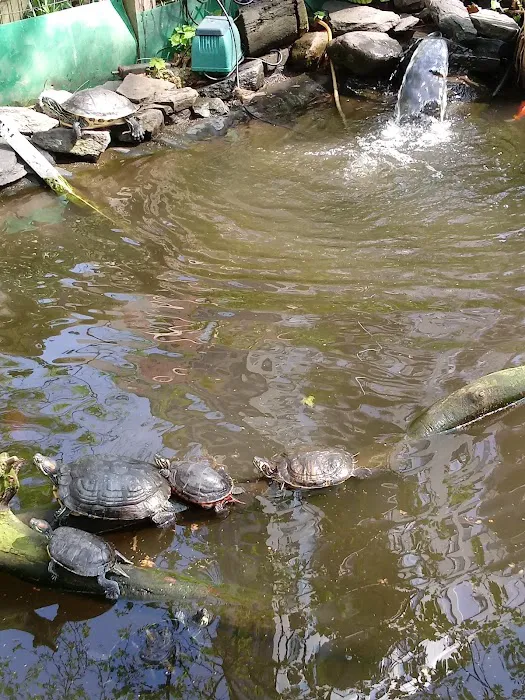 M’Finda Kalunga Garden Picture 2