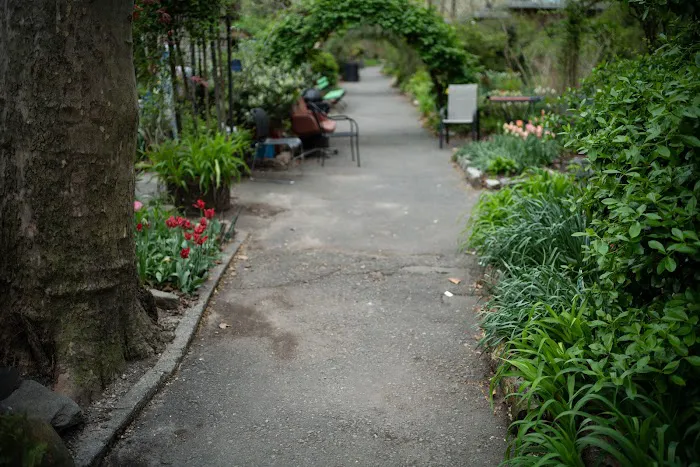M’Finda Kalunga Garden Picture 5