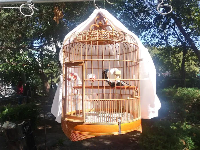 Hua Mei Bird Garden Picture 1