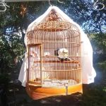 Hua Mei Bird Garden