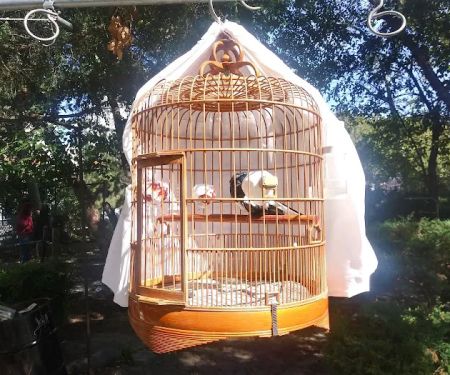 Hua Mei Bird Garden