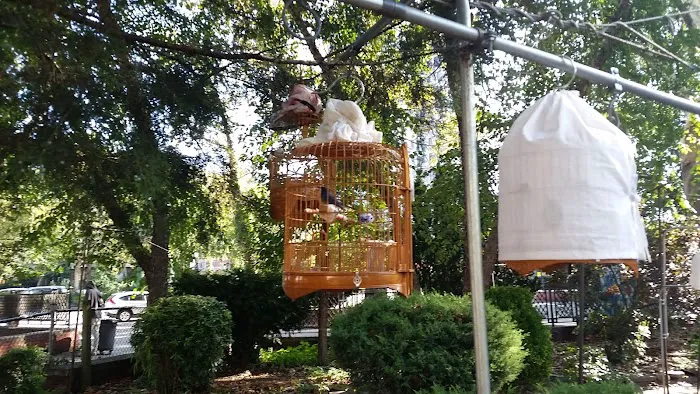 Hua Mei Bird Garden Picture 6