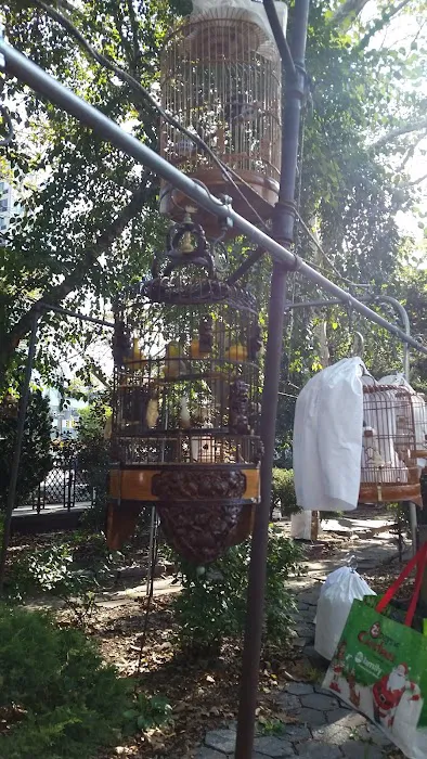 Hua Mei Bird Garden Picture 10