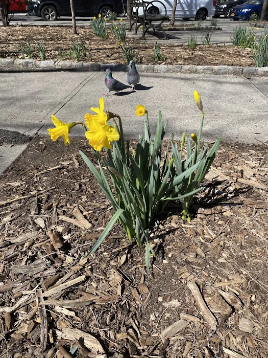 Montgomery Triangle Park Picture 8