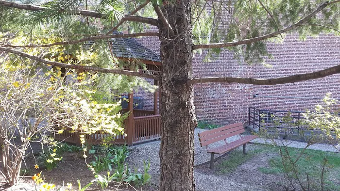 Martin Luther King Jr. Community Park Picture 5