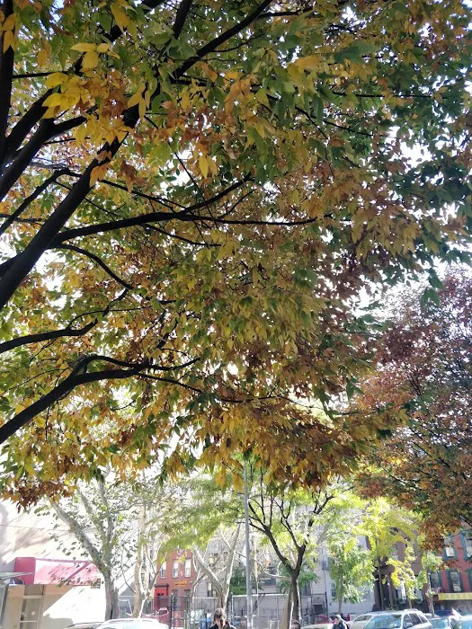 Straus Square Picture 6