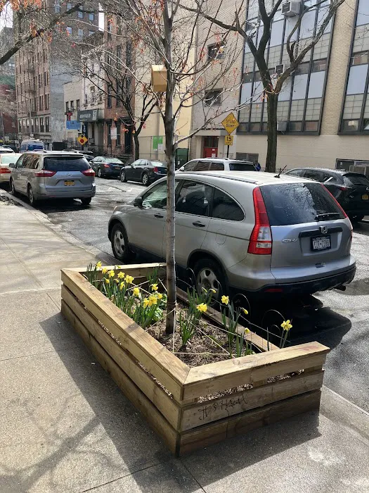 Henry Street Gardens Picture 1