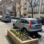 Henry Street Gardens