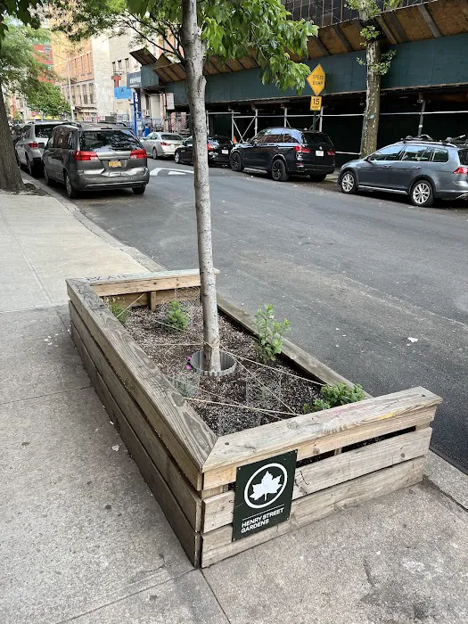 Henry Street Gardens Picture 2