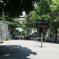 Luther Gulick Park ico