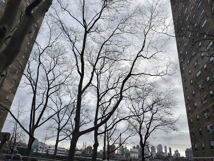 Vladeck Park Picture 5