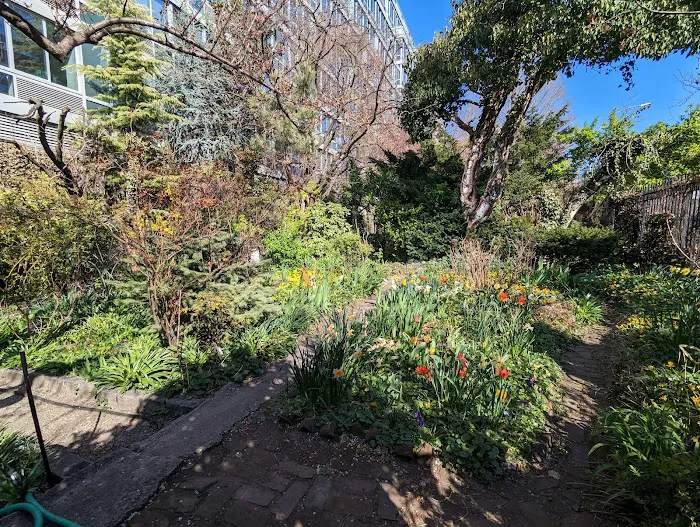 Liz Christy Garden Picture 7