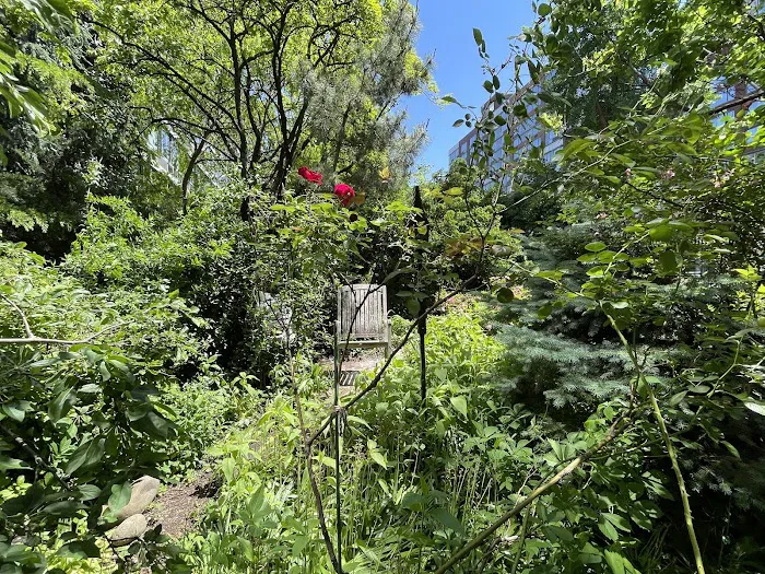 Liz Christy Garden Picture 3