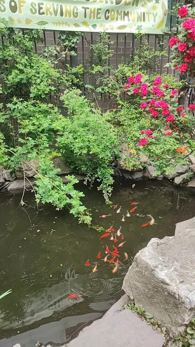 Liz Christy Garden Picture 2