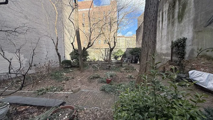 Albert's Garden Picture 1