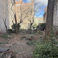 Albert's Garden ico