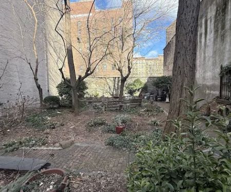 Albert's Garden