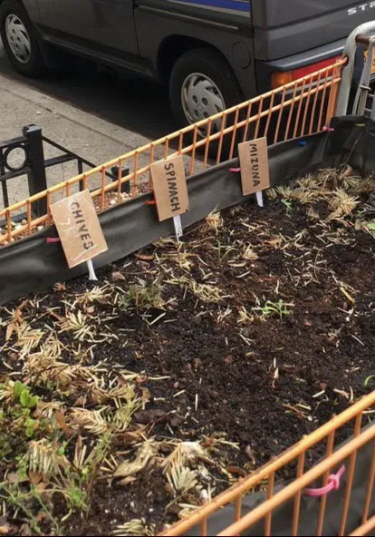 Cart Garden Picture 3