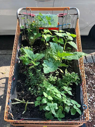 Cart Garden Picture 1