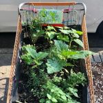 Cart Garden