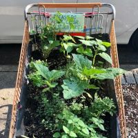 Cart Garden ico