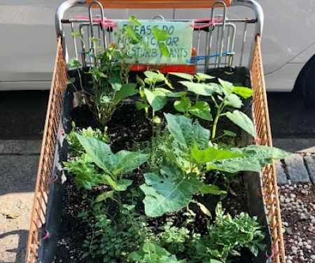 Cart Garden