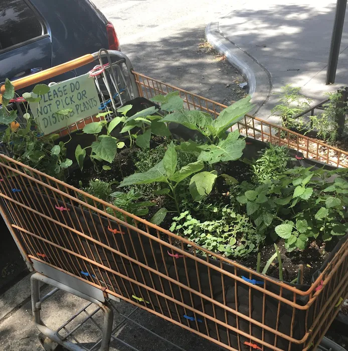 Cart Garden Picture 6
