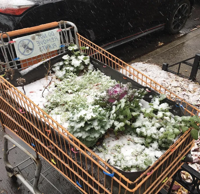 Cart Garden Picture 5