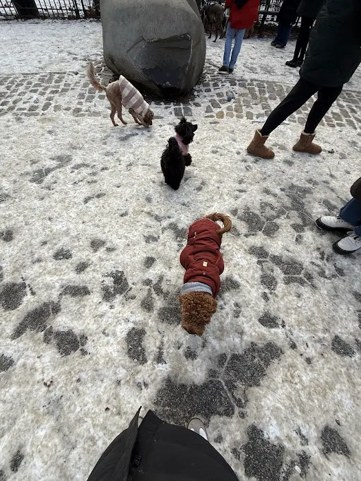Stuyvesant Park Dog Run Picture 10
