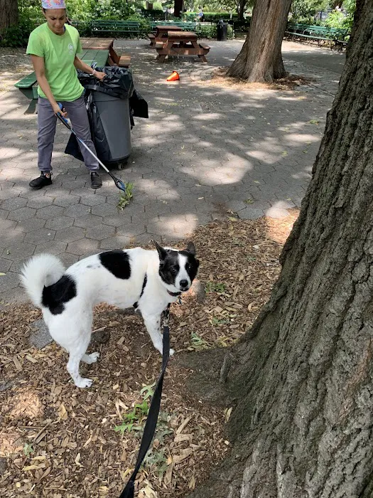 Stuyvesant Park Dog Run Picture 1