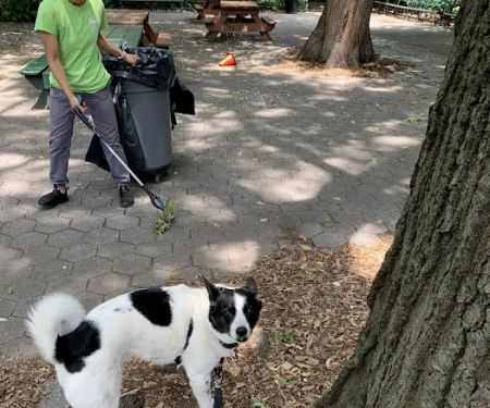 Stuyvesant Park Dog Run