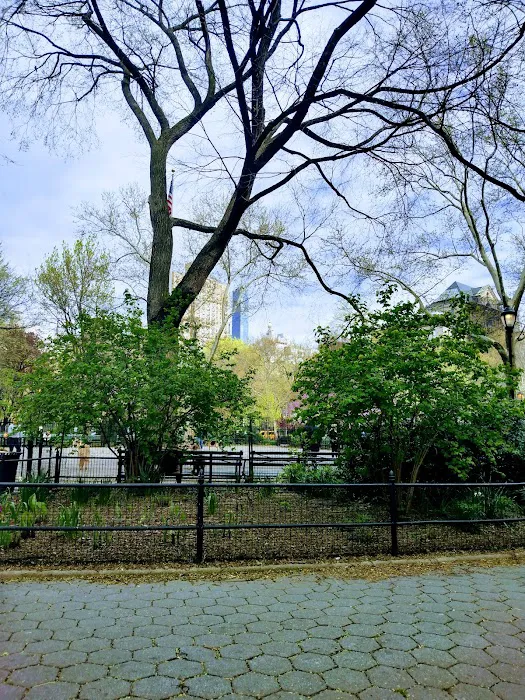Stuyvesant Park Dog Run Picture 4