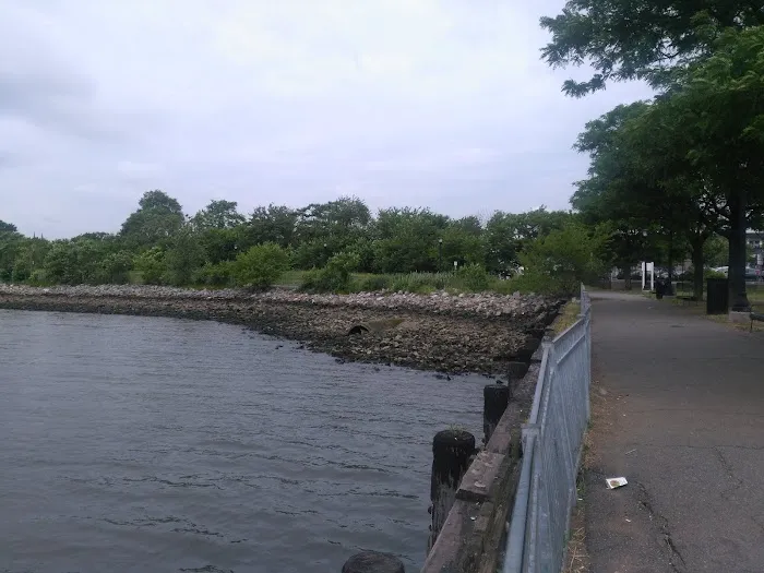 Marciante-Jackson-Millet Park Picture 5