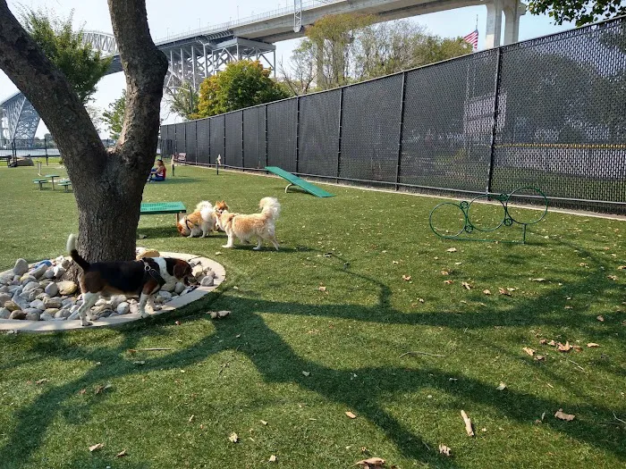 Sgt. Vincent J. Olivia Mini Dog Park Picture 3