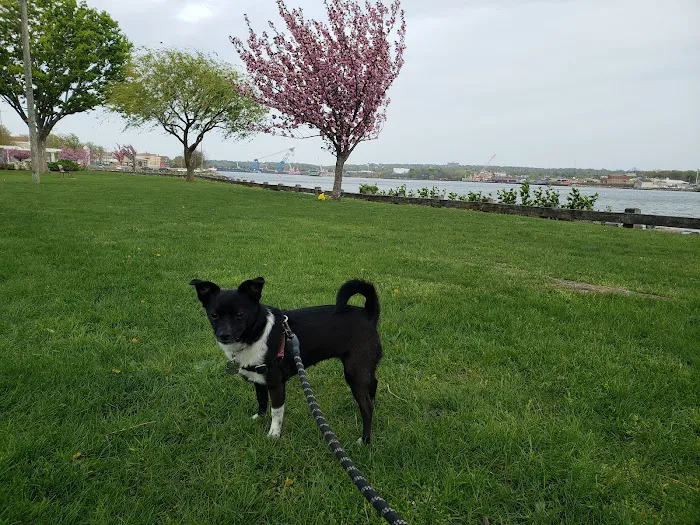 Sgt. Vincent J. Olivia Mini Dog Park Picture 5