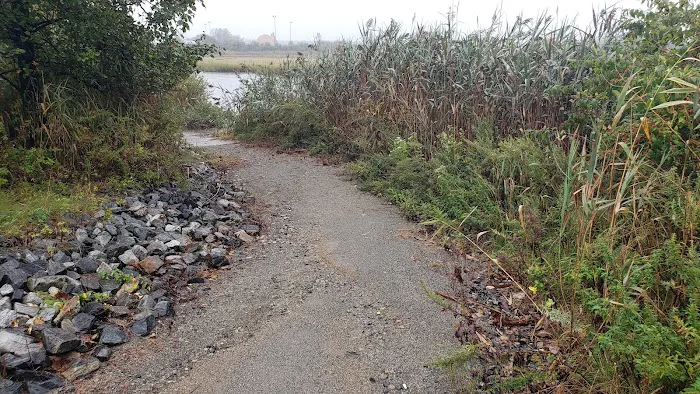 Old Place Creek Access Kayak/Hand Launch Site Picture 2