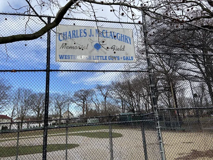 Westerleigh Sluggers Inc Picture 4