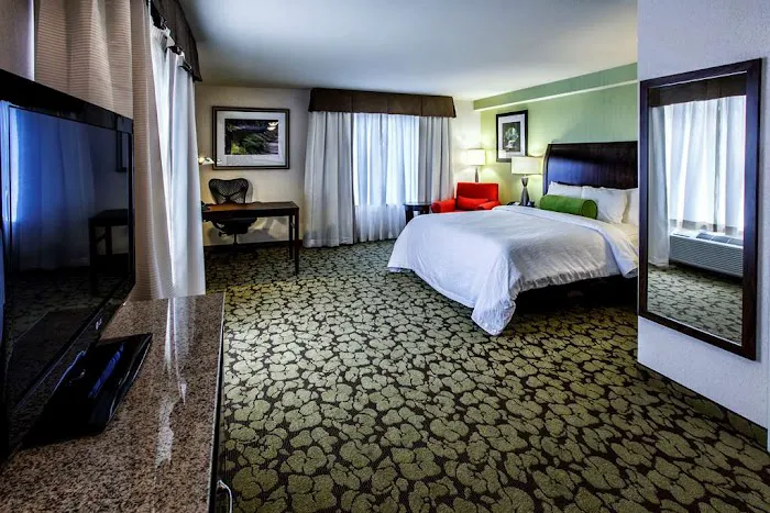 Hilton Garden Inn New York/Staten Island Picture 4