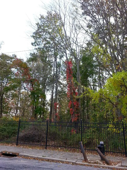 Staten Island Industrial Park Picture 10