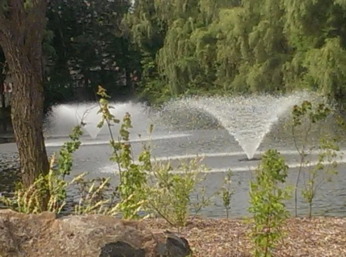 Staten Island Industrial Park Picture 5