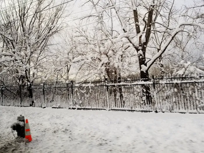 Staten Island Industrial Park Picture 7