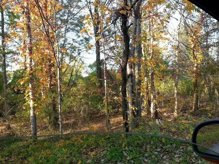 Staten Island Industrial Park Picture 6