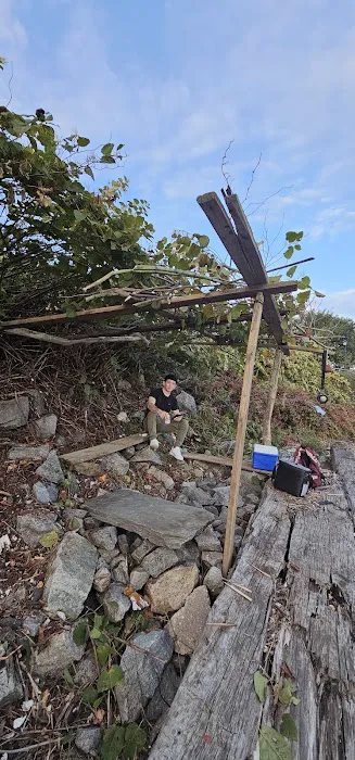 John's Cove Picture 5