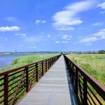 Hackensack Meadowlands Conservation and Wildlife Area