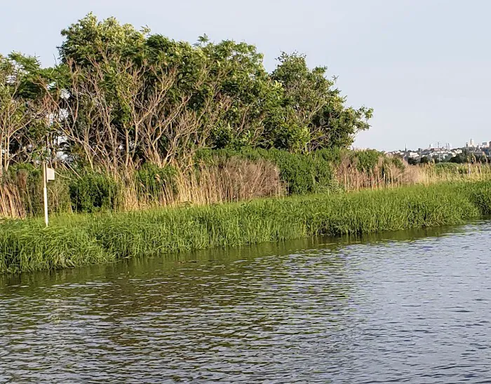 Hackensack Meadowlands Conservation and Wildlife Area Picture 5