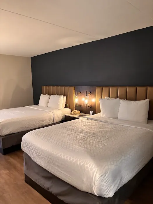 Best Western Plus Meadowlands Picture 5